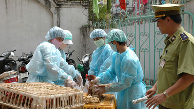 Vietnam dispuesto a responder a enfermedades causadas por gripe A